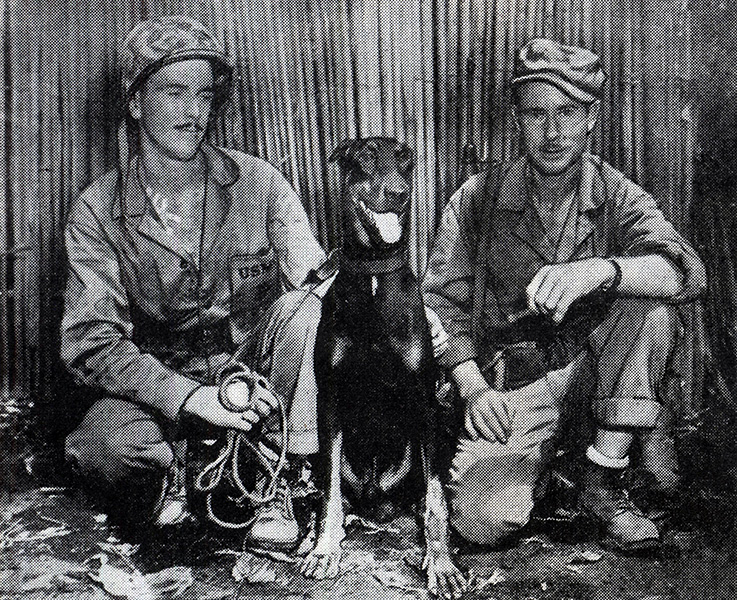 Marine Devil Dog 1944